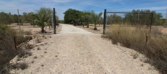 Grundstück in Alicante, Spain, Nr. 189120 2