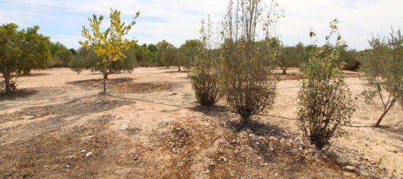 Grundstück in Alicante, Spain, Nr. 189120 17