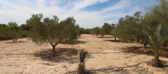 Grundstück in Alicante, Spain, Nr. 189120 7