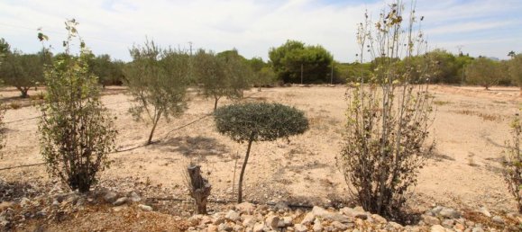 Grundstück in Alicante, Spain, Nr. 189120 16