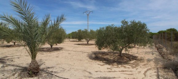 Grundstück in Alicante, Spain, Nr. 189120 3