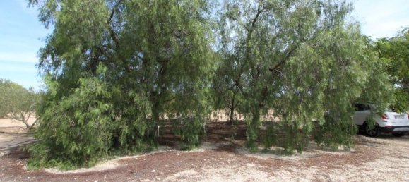 Grundstück in Alicante, Spain, Nr. 189120 13