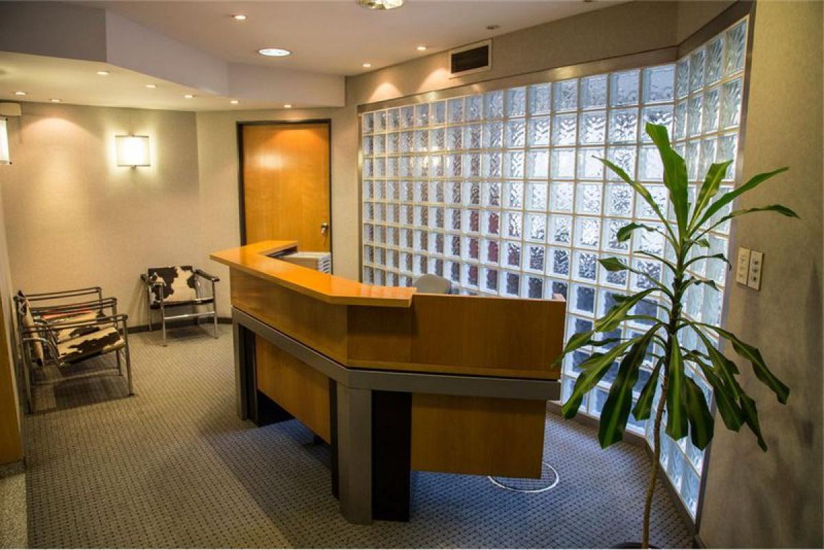 250m² Office in Buenos Aires, Argentina No. 105913