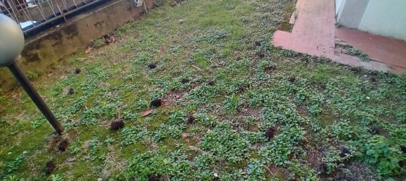 4 rooms Apartment in Campi Bisenzio, Italy No. 44967 24