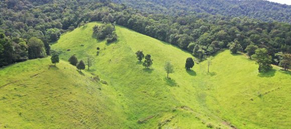 Granja de 3 dormitorios en Millaa Millaa, Australia No. 843 26