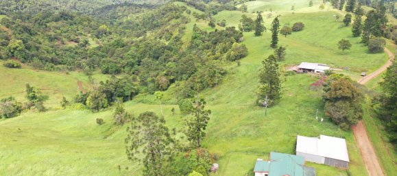 Granja de 3 dormitorios en Millaa Millaa, Australia No. 843 17