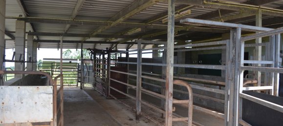 Granja de 3 dormitorios en Millaa Millaa, Australia No. 843 2