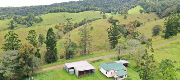 Granja de 3 dormitorios en Millaa Millaa, Australia No. 843 20