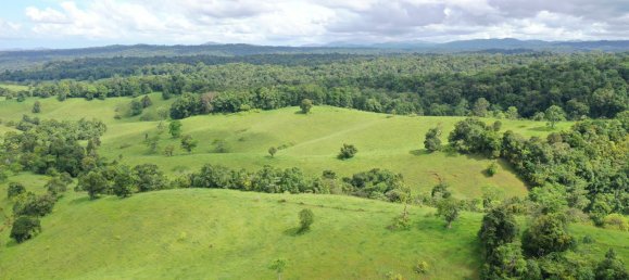 Granja de 3 dormitorios en Millaa Millaa, Australia No. 843 12