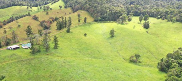 Granja de 3 dormitorios en Millaa Millaa, Australia No. 843 19