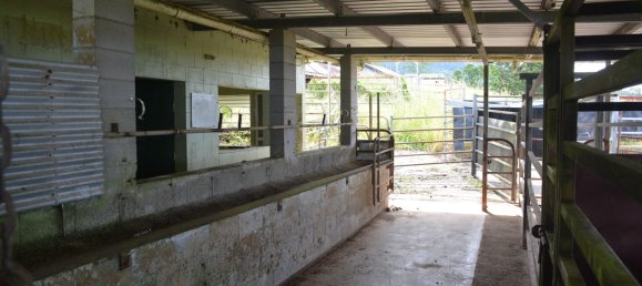 Granja de 3 dormitorios en Millaa Millaa, Australia No. 843 22