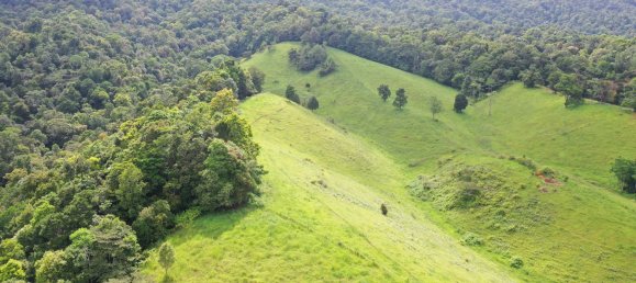 Granja de 3 dormitorios en Millaa Millaa, Australia No. 843 27