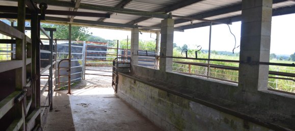 Granja de 3 dormitorios en Millaa Millaa, Australia No. 843 23