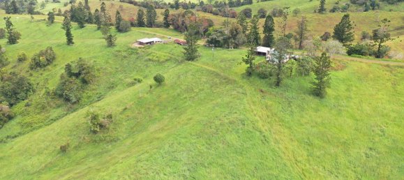 Granja de 3 dormitorios en Millaa Millaa, Australia No. 843 30