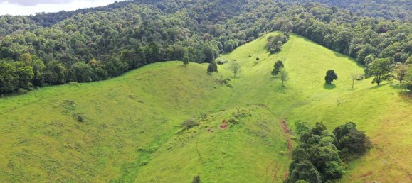 Granja de 3 dormitorios en Millaa Millaa, Australia No. 843 11
