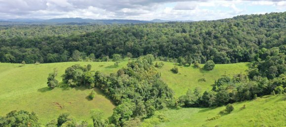 Granja de 3 dormitorios en Millaa Millaa, Australia No. 843 25