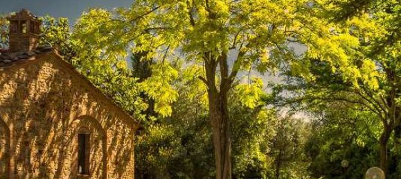 Дом с 12 спальнями в Монтайоне, Италия № 171131 13