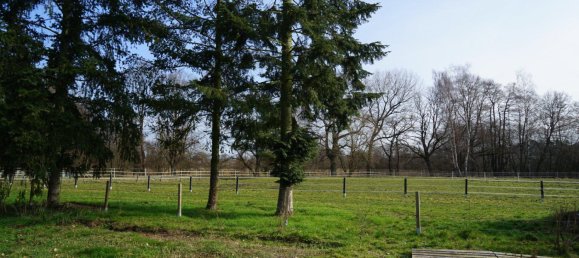 11-Zimmer Stadthaus in Ludwigslust-Parchim, Germany, Nr. 350178 3