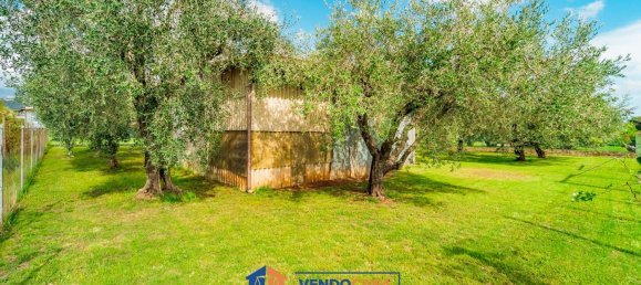 Terrain à Massa, Italy No. 323341 4