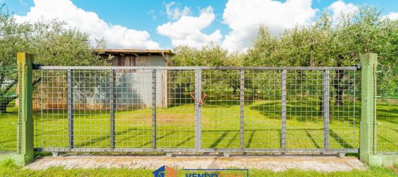 Terrain à Massa, Italy No. 323341 14