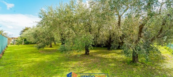 Terrain à Massa, Italy No. 323341 2