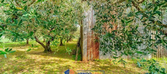 Terrain à Massa, Italy No. 323341 3