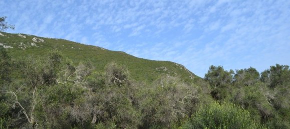 4 bedrooms Commercial property in Corfu, Greece No. 7415 16