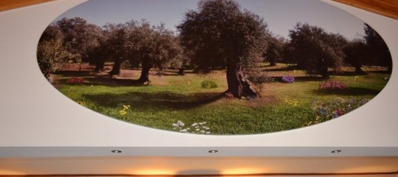 4 bedrooms Commercial property in Corfu, Greece No. 7415 4