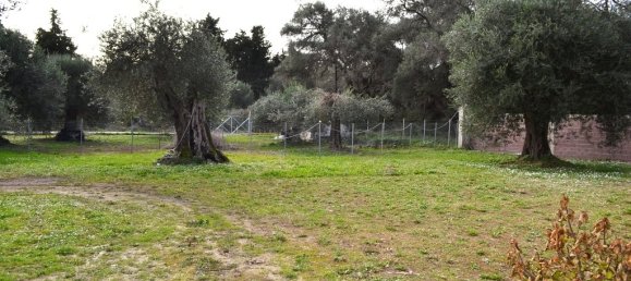 4 bedrooms Commercial property in Corfu, Greece No. 7415 22