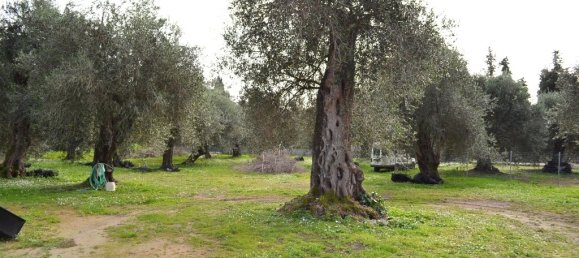 4 bedrooms Commercial property in Corfu, Greece No. 7415 19