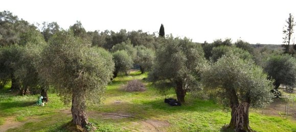 4 bedrooms Commercial property in Corfu, Greece No. 7415 18