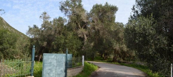 4 bedrooms Commercial property in Corfu, Greece No. 7415 21