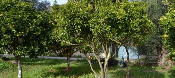 4 bedrooms Commercial property in Corfu, Greece No. 7415 23