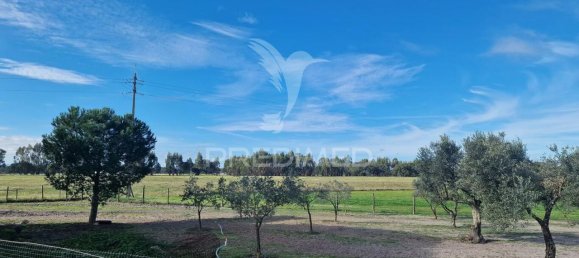 7 bedrooms Castles in Grandola, Portugal No. 88458 11