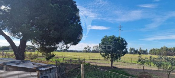 7 bedrooms Castles in Grandola, Portugal No. 88458 12