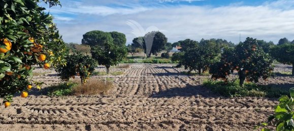 7 bedrooms Castles in Grandola, Portugal No. 88458 22