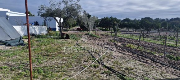 7 bedrooms Castles in Grandola, Portugal No. 88458 14