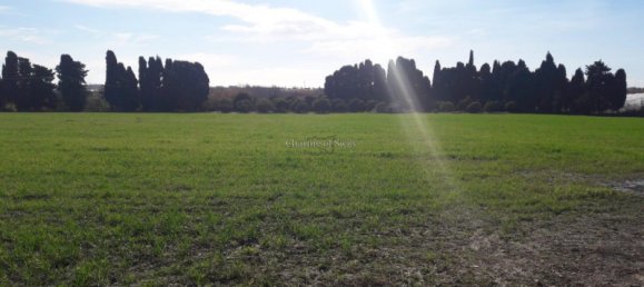 Земельный участок 45000м² в Испика, Италия № 81360 14