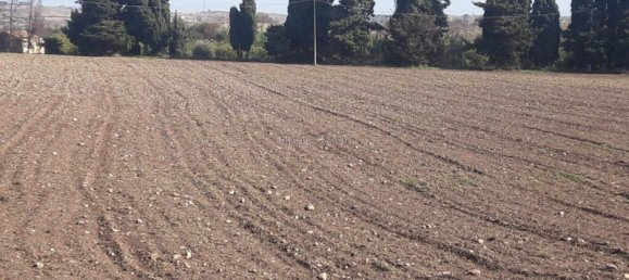 Земельный участок 45000м² в Испика, Италия № 81360 15