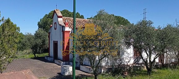 Terreno em São Bartolomeu de Messines, Portugal N.º 10239 8