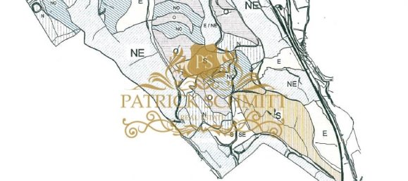 Terreno em São Bartolomeu de Messines, Portugal N.º 10239 3