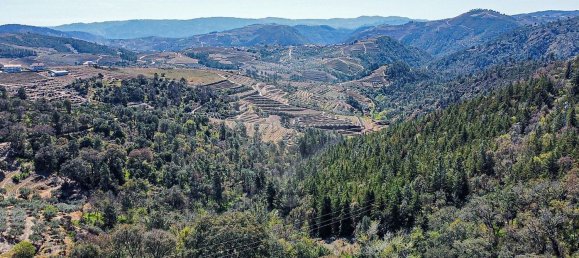 Studio in Murca, Portugal No. 53661 34