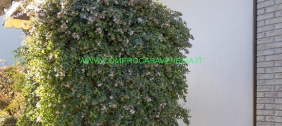 5 rooms Villa in Venice, Italy No. 232753 5