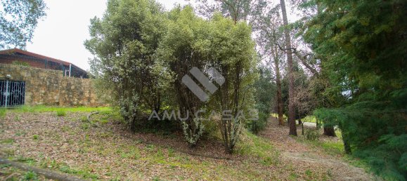 Casa de 11 dormitorios en Oliveira de Azemeis, Portugal No. 72019 43