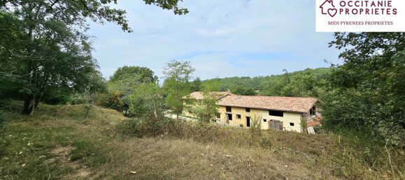 5 chambres Maison à Occitanie, France No. 361570 2