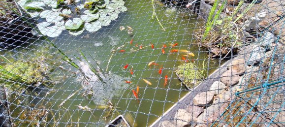 6 rooms House in Schaumburg, Germany No. 261126 4