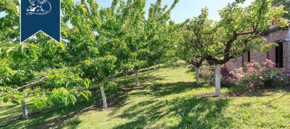 5 Schlafzimmer Villa in Grizzana Morandi, Italy, Nr. 329293 12