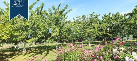 5 Schlafzimmer Villa in Grizzana Morandi, Italy, Nr. 329293 13