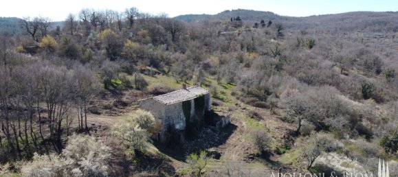 3 chambres Maison à San Casciano dei Bagni, Italy No. 56901 22