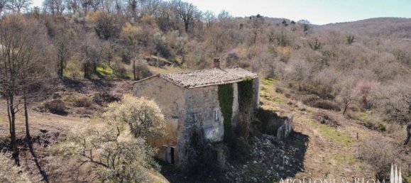 3 chambres Maison à San Casciano dei Bagni, Italy No. 56901 15
